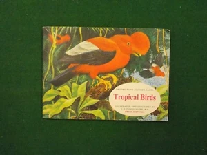 Brooke Bond Tea Cards Tropical Birds 1961 Complete Set in Album - Picture 1 of 3