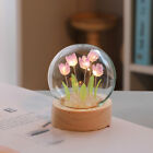 LED Tulip Crystal Glass Ball Night Light Home Bedroom Mini Flowers Lamps Wedd S1