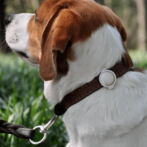 PETKIT Pet Activity Monitor P2 - Gold for Dogs or Cats - Picture 1 of 3