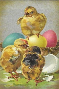 Vintage Easter Postcard RETRO Chicks Colored Eggs NEW REPRINT - Picture 1 of 2