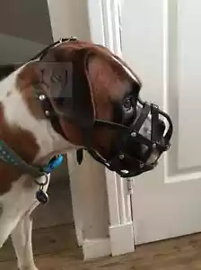 Light leather Dog Muzzle for Boxer and Other dogs with short snout - Picture 1 of 17