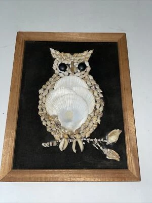 Cuadro arte búho concha vintage hecha a mano 8”x10” enmarcado. Fondo de felpa negra Foto 1 de 4