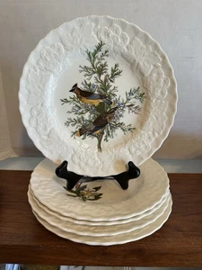 6 Vintage Alfred Meakin Audubon's Birds of America Salad Or Lunch Plates 9" - Picture 1 of 11