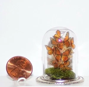 NUEVO Escala 1:12 Casa de Muñecas Miniatura 13 Mariposas Monarca Realistas con Cúpula de Vidrio - Imagen 1 de 12