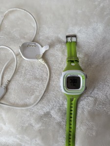 garmin forerunner 10 ebay