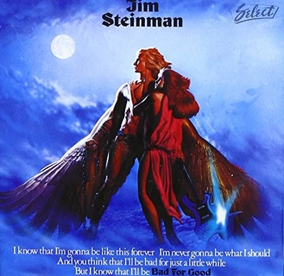 Steinman Jim - Bad for Good - Steinman Jim CD Z5VG The Cheap Fast Free Post - Bild 1 von 2