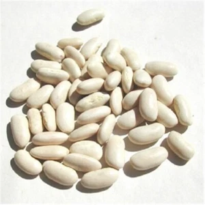 70 Non-GMO Cannellini Bean (Italian White Kidney Bean, Fazolia Bean) Seed s– Fr - Picture 1 of 2