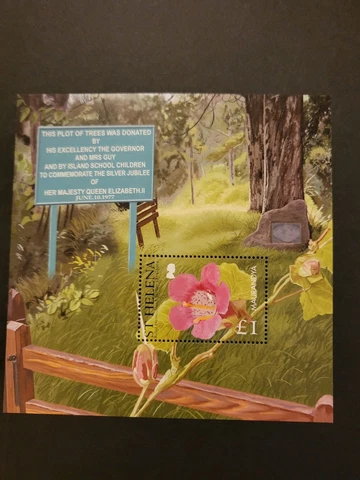 Stamps St Helena Scott #856 never hinged Cover