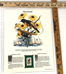 Maryland Commemorative Mint-Stamp Postal Commemorative Society Collectable. - Picture 1 of 1