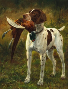 Un perro de caza con un faisán | Caspar von Reth | Impresión de caza victoriana de 1912 - Imagen 1 de 9