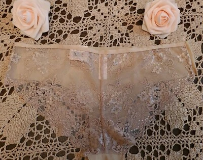 Large Rare CANDIES CHEEKY Smooth SeXy Microfiber LUXURY LACE Panty ~ NWT - Image 1 of 4