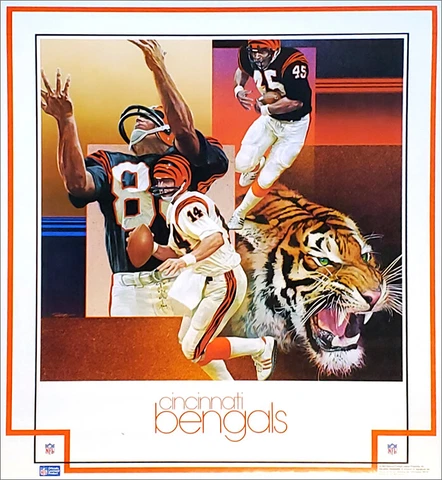 Vintage Original Cincinnati Bengals DAMAC 1981 CHUCK REN NFL Team 23x25 POSTER Cover