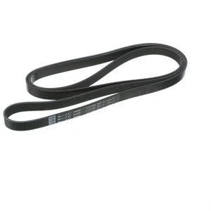 Gates Micro-V K060815 Serpentine Belt for 0129974292 0139972592 0149970892 ux Foto 1 de 1