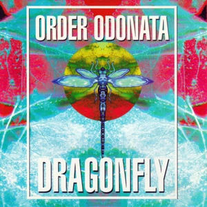 DISC ONLY - Order Odonata - The Technical Use Of Sound In Magick (CD, 1996) - Bild 1 von 1