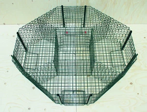 8-Eck Elstern und Taubenfalle Kieferle Lebendfalle Falle #000.059 - Bild 1 von 1