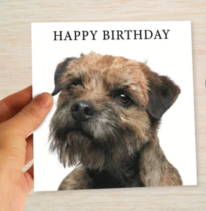 Tarjeta de cumpleaños Border Terrier cachorro del perro ¡en blanco por dentro y correo gratis! - Imagen 1 de 11