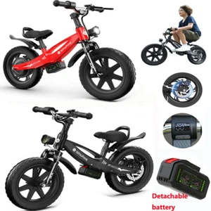 14" SK14 Kids Electric Balance Bike 250W 18V/5AH  LED display 3-Speed Adjustable - Picture 1 of 9