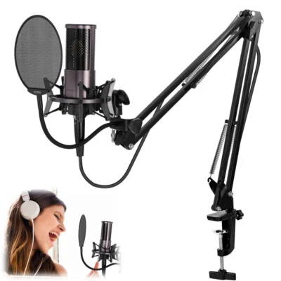 Professional Desktop Live Broadcast Microphone Condenser Recording Mic Set - Image 1 of 4
