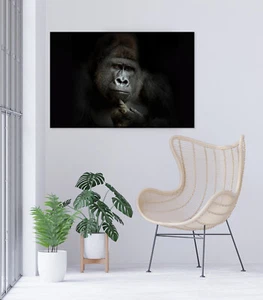 ego cogito, ergo sum Gorila Arte Impresión en Lona Impresión enmarcada Pared Arte Decoración del Hogar - Imagen 1 de 3