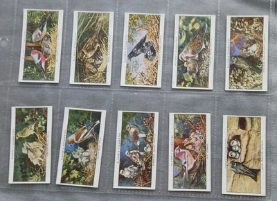 John Player Birds And Their Young 2 Sets Of 25 1955 1st & 2nd series In Sleeves - Image 1 of 4