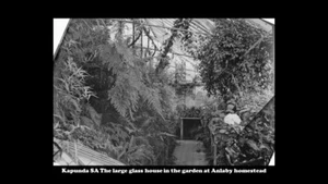 Kapunda SA The large glass house in the garden at Anlaby homestead Postcard - Picture 1 of 2