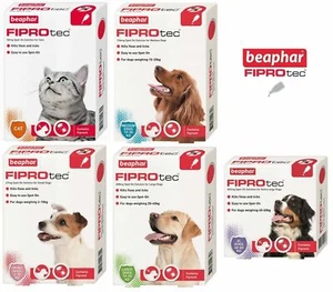 BEAPHAR FIPROtec SPOT ON FLEA TICK TREATMENT Solution S M L XL Dog/Cat Fipronil - Picture 1 of 17