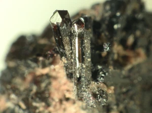 MANGANVESUVIANITE & HAUSMANITE from Kuruman, South Africa  * RARE *  0,9 cm - Picture 1 of 5