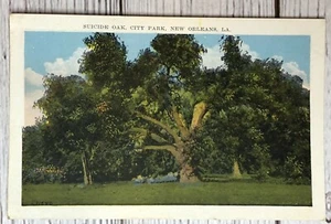 Suicide Oak City Park, New Orleans Louisiana White Border Vintage Postcard - Picture 1 of 3