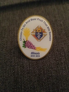 Caballeros de Colón 2018-2019 Illinois State Pin KofC coleccionable fraternal - Imagen 1 de 3