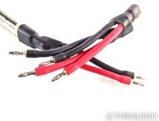 WireWorld Equinox 5 Biwire Speaker Cable; Single; 2m