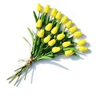 20pcs Yellow Artificial Tulip Flowers with Soft Latex Materials for Mother's ...