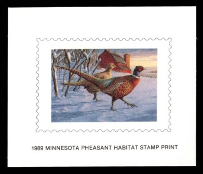 MNP7 Minnesota State Pheasant Print Stamp Proof - Image 1 of 2
