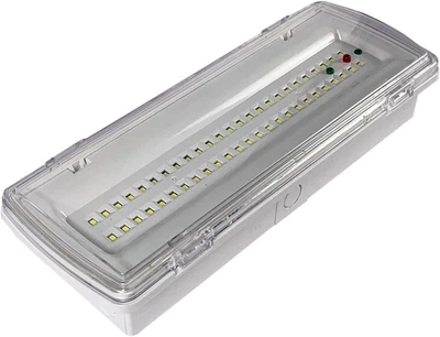 Lampada Di Emergenza Con 50 Led Completa Di Incasso + Batteria Luce Bianca 4 W - Immagine 1 di 4