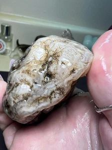 12.1oz Botryoidal Chalcedony Agate Specimen MN Rough Lapidary Cabbing - Picture 1 of 19