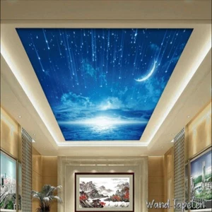 Vlies Fototapeten Dachtapeten Dachbilder Decke 3D Himmel Mond Decke 2374 - Picture 1 of 3