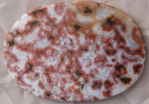 AAA OCEAN JASPER MEDALLION SLAB SLICE LAPIDARY CAB   6315 - Picture 1 of 7