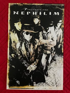 Impresión de póster Fields of the Nephilim - 11x17 - Imagen 1 de 5