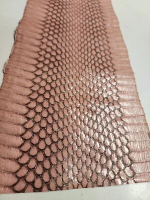 Restos de piel de serpiente Cobra 0158 Foto 1 de 4