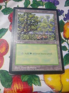 Forest ( Arena League) M:tG Oversized promo card HP - Picture 1 of 2