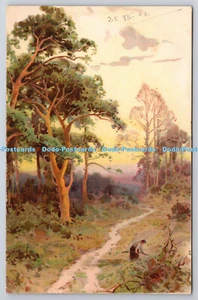 R750335 Blick auf den Wald Raphael Tuck and Sons Art Series 1025 1904 - Bild 1 von 4