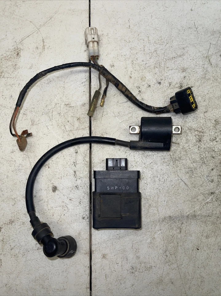 2002 YAMAHA TTR125L OEM CDI w/COIL WIRE HARNESS 5HP-88540-01-00 - Image 1 of 4