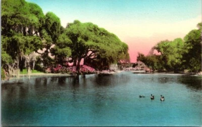 Charleston SC Lake Middleton Place Gardens Hand Colored Albertype postcard NQ9 - Image 1 of 2