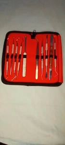 KIT DE BLANQUEAMIENTO DENTAL 10P DIENTE DE DENTISTA - Imagen 1 de 3