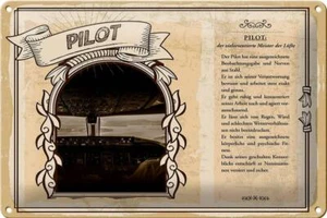Blechschild Berufe 30x20 cm Pilot zielorientierter Meister Schild tin sign - Picture 1 of 5