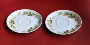 Set of 2 Jardin By Couturee Japan Floral Flowers Green Pink Berry China SAUCERS - Picture 1 of 9
