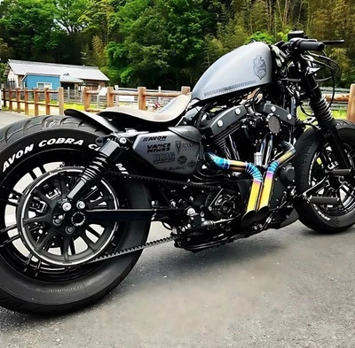 Escape personalizado azul dorado 2 en 2 apto para Harley-Davidson Sportster 883 86-20 Foto 1 de 4