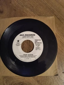 MCA promo copy 1978 lynyrd skynyrd down south jukin - Picture 1 of 2