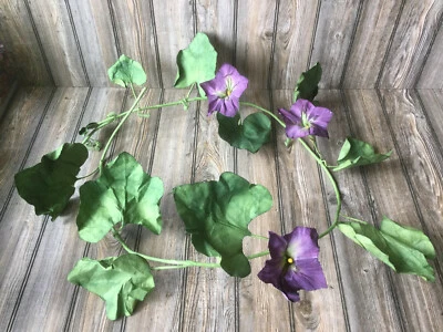 Guirnalda de flores de gloria matutina rara enredaderas plantas fiesta boda decoración  Foto 1 de 4