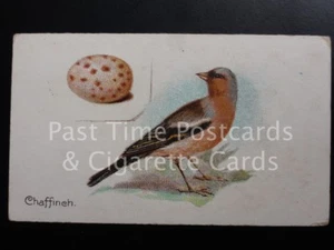 Sencillo: ""Chaffinch"" - ""PÁJAROS Y HUEVOS"" Harvey & Davy 1905 - Imagen 1 de 1
