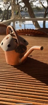 Regadera de cobre Lady Bug Foto 1 de 3